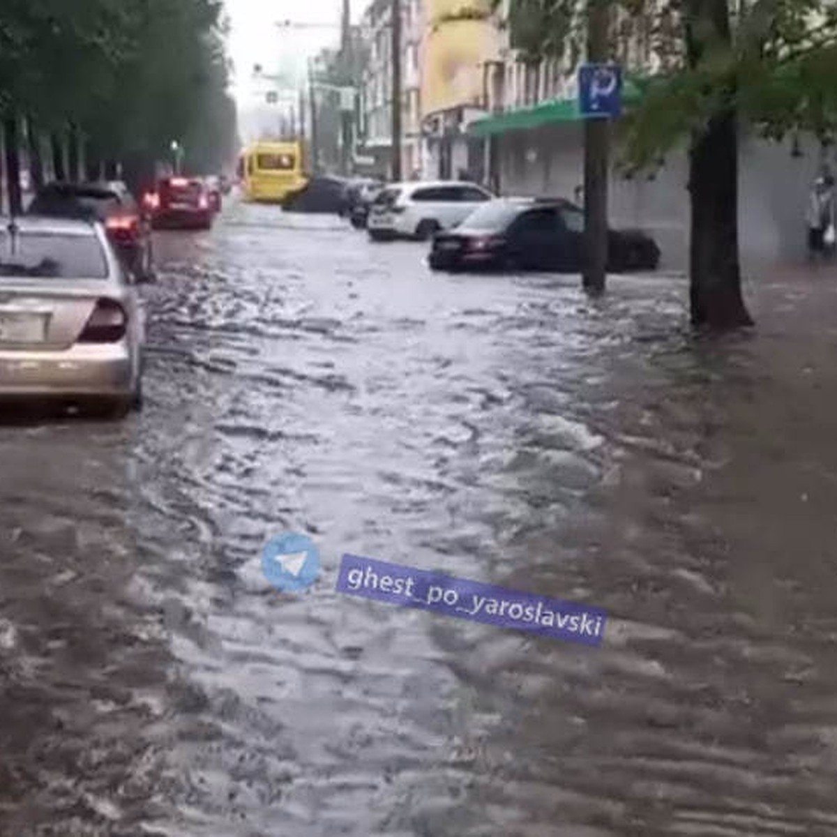 В Ярославле ливень затопил улицы, а шквалистый ветер валит деревья - KP.RU