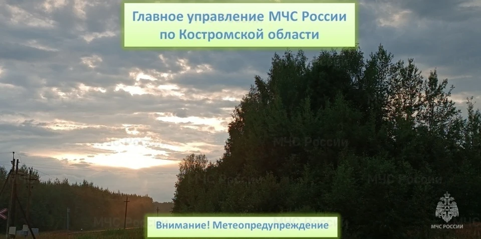 Фото: пресс-служба ГУ МЧС России по Костромской области
