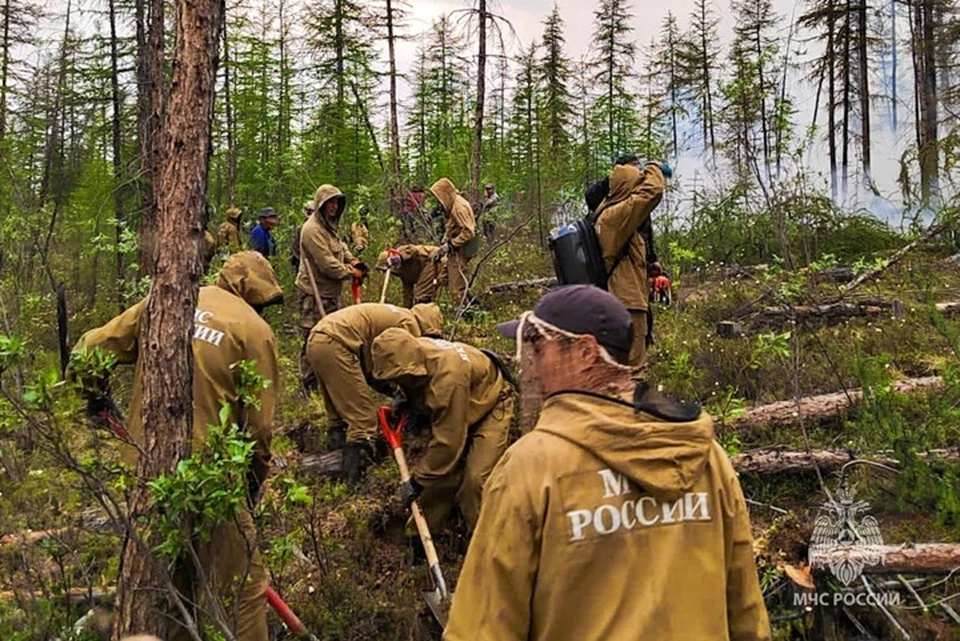 Пожары охватили 600 тысяч гектаров леса в Якутии Фото: ГУ МЧС России по РС(Я)