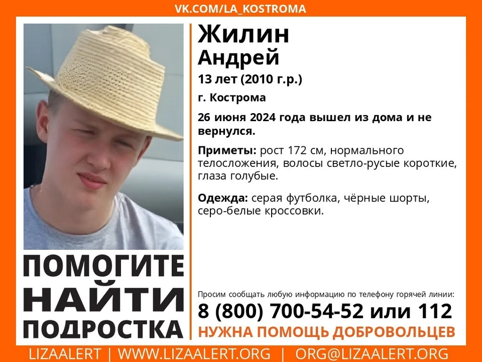 Фото: "Лиза Алерт" в Костромской области