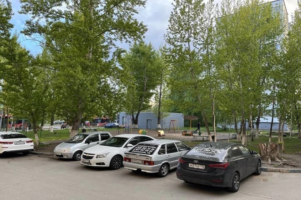 Устранить нарушения потребовали от Дирекции парков и скверов города.