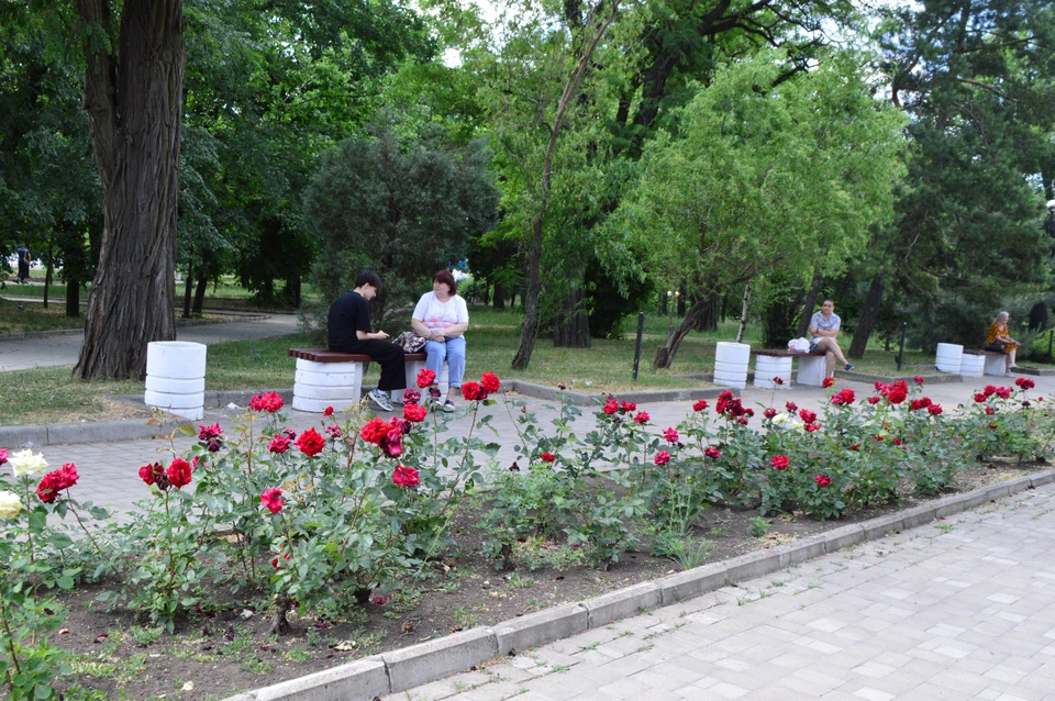Самый жаркий месяц обещает подарить приятное тепло