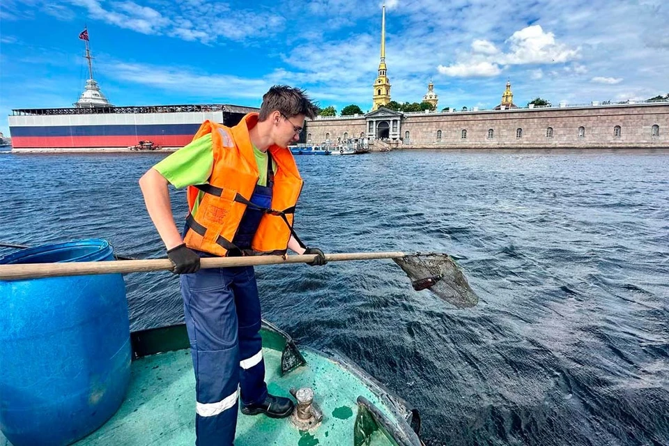 С акватории Невы убрали водоросли. Фото: пресс-служба городского Комитета по природопользованию