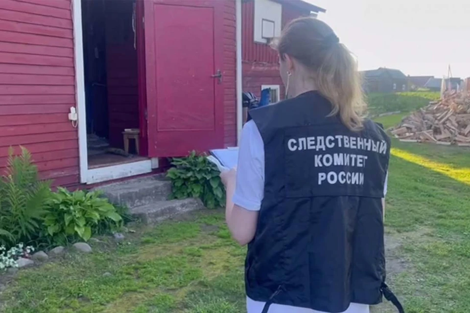 Экспертиза установит причину гибели ребенка. Фото: t.me/su_skr10