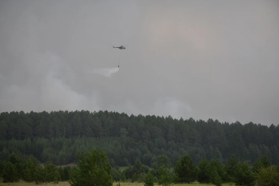 Четвертый класс пожароопасности установился в Нижегородской области.