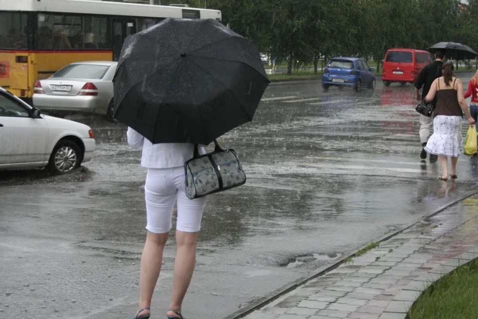 В Барнауле дождь прогнозируют во второй половине дня.