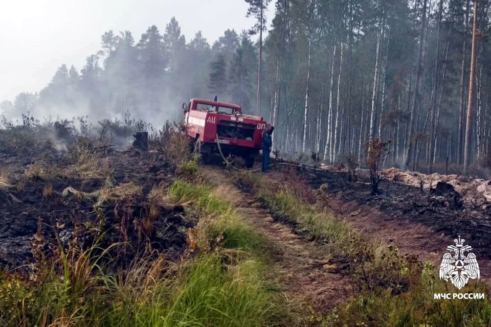 В Бологовском округе тушили остатки порубочных остатков. Фото: МЧС