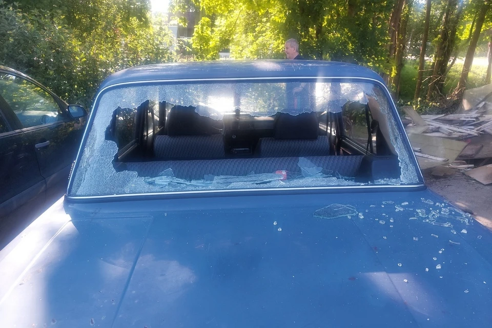 Аэрозоль от комаров взорвался в машине петербуржца. Фото: «Грибы и Грибники СПб»