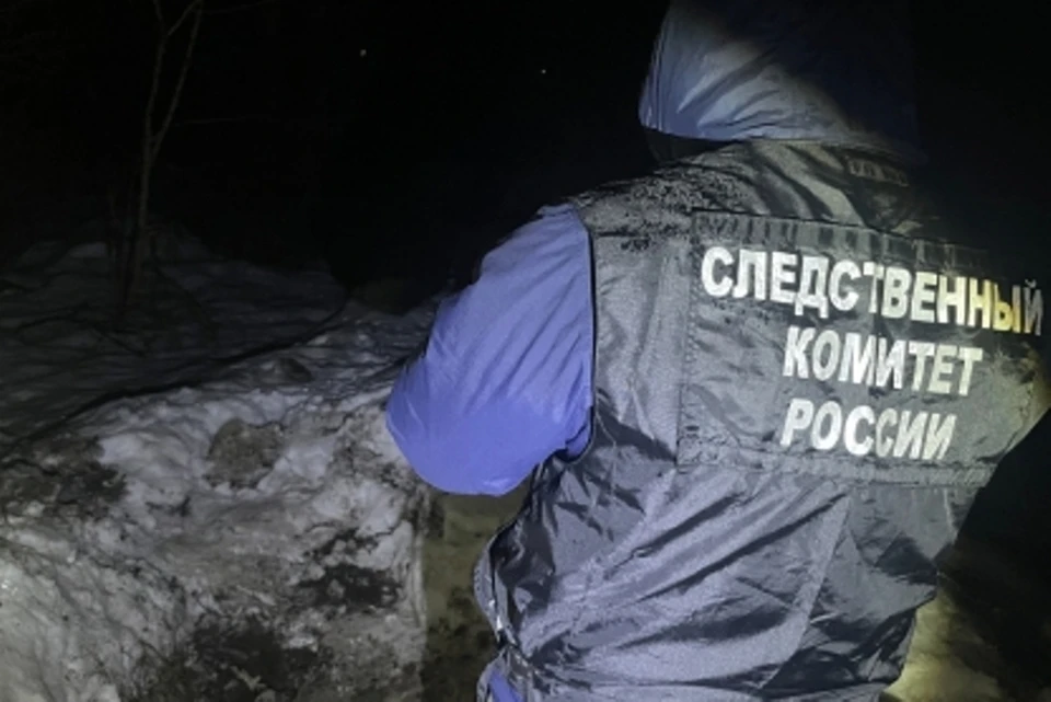 Фото: пресс-служба СУ СКР по Брянской области.