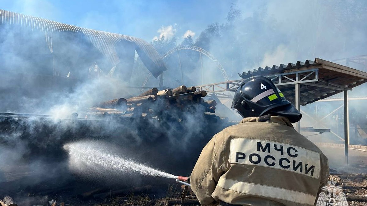 Деревообрабатывающая база загорелась в Рязанской области - KP.RU