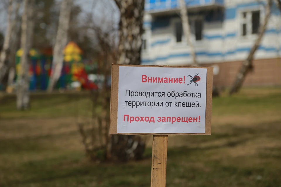 125 человек обратились за помощью после укусов в Ярославле