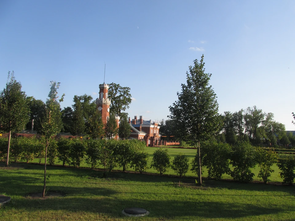 Комплекс появится в Рамонском районе