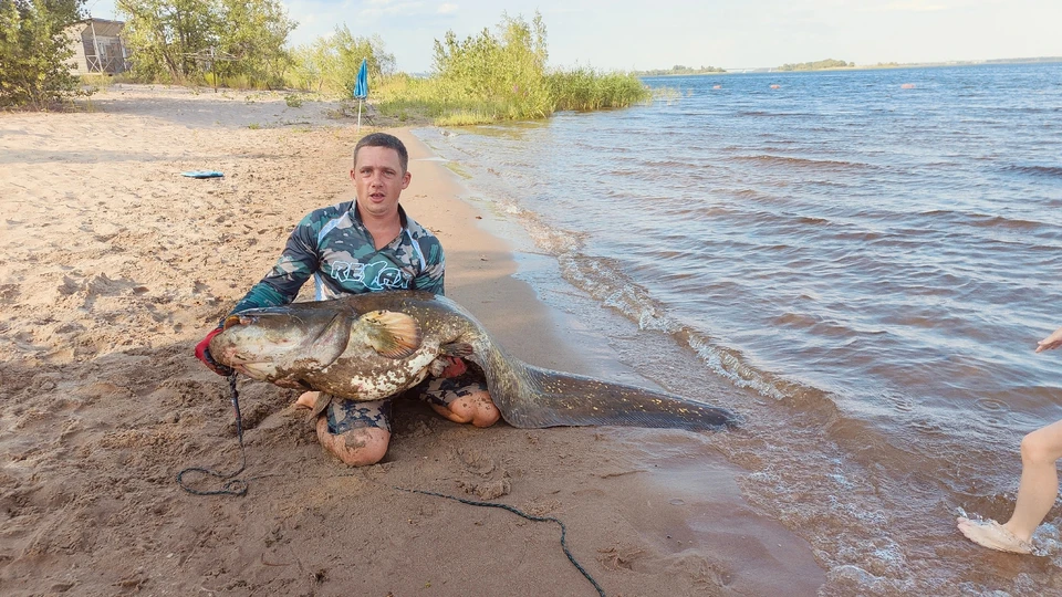 Фото: «Рыбалка Саратов/Энгельс»