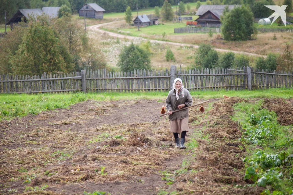 Людей старше 80 лет и инвалиды первой группы в Беларуси часто опекают родные и знакомые и получают за это от государства пособие. Фото носит иллюстрационный характер.