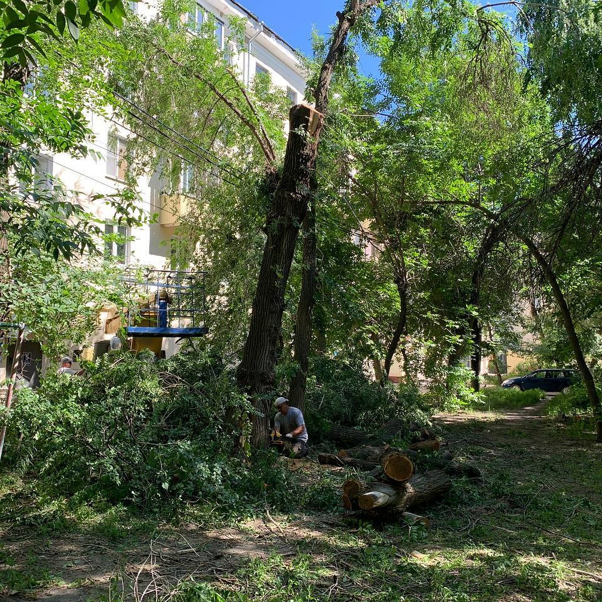 спилить дерево у дома в ульяновске (94) фото