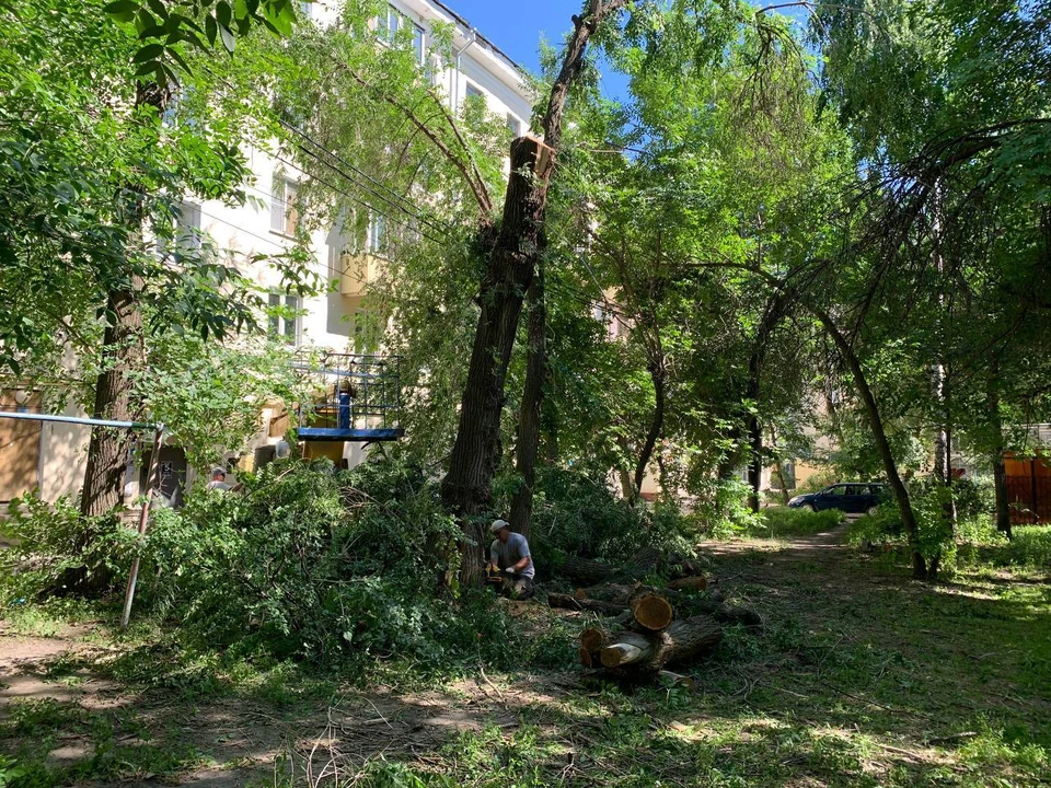 В Ульяновске деревья во дворе дома №5 на Гончарова сносят по порубочным билетам | ФОТО: администрация Ульяновска