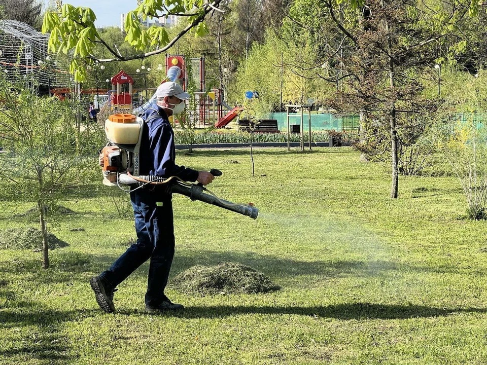 Фото пресс-службы городской администрации.