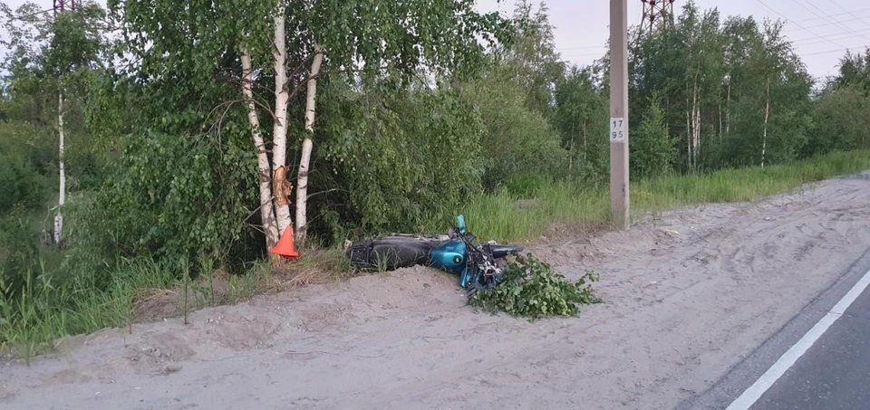 Фото: Госавтоинспекция ЯНАО