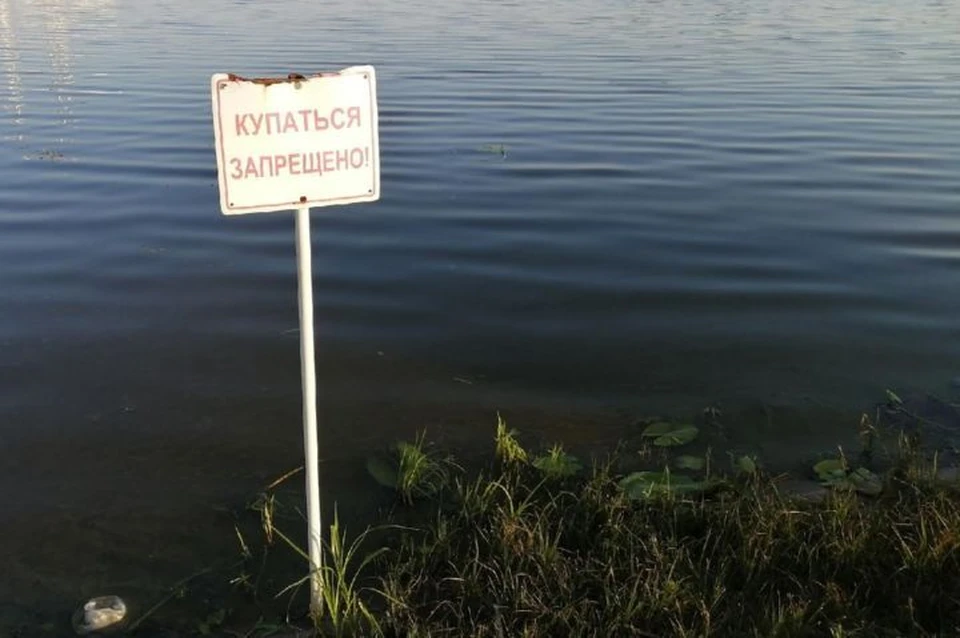 На ярославских пляжах нельзя купаться.