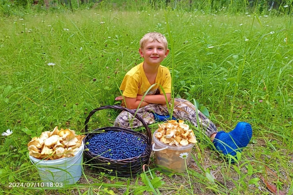 Сезон черники начался в лесах Новосибирской области. Фото: предоставлено Натальей Котовой.