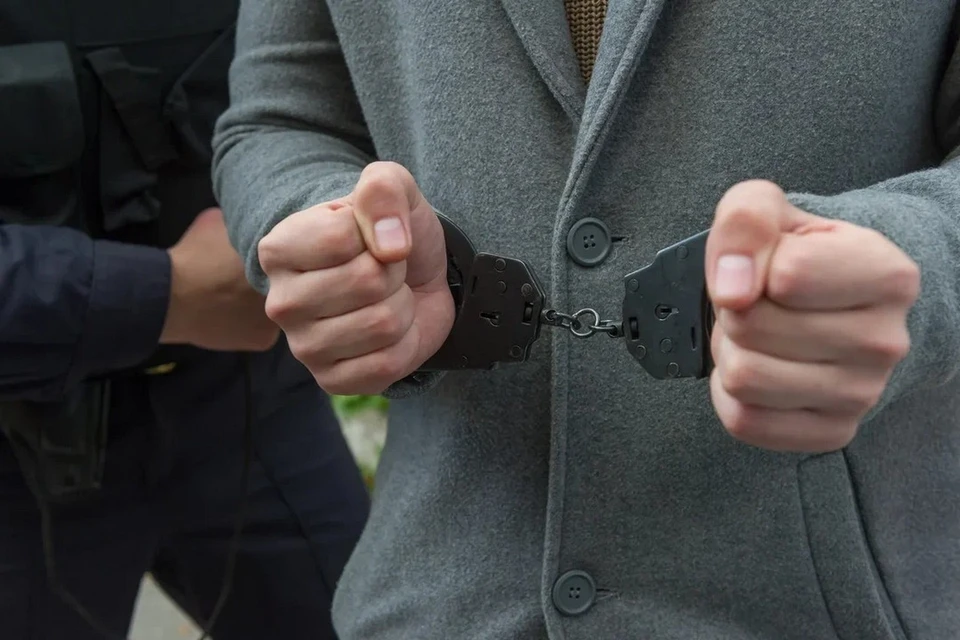 Гендиректора юридической фирмы в Петербурге задержали за мошенничество.