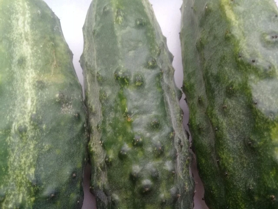 Часть продуктов подорожали в Воронежской области за последнюю неделю.