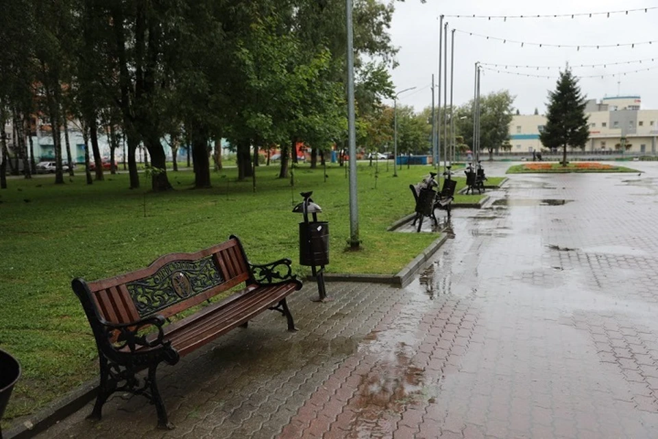 Мэрия Ярославля собирается расторгнуть контракт с подрядчиком, который занимается благоустройством трех парков.