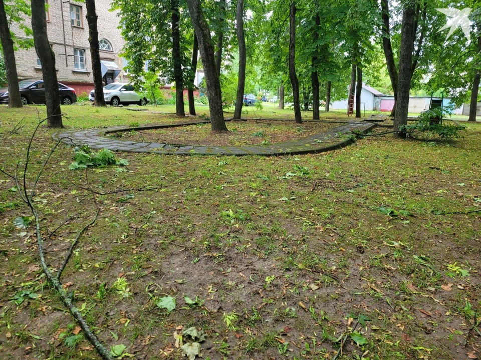 Трамваи и троллейбусы останавливались в Минске из-за непогоды. Фото: архив, носит иллюстративный характер.