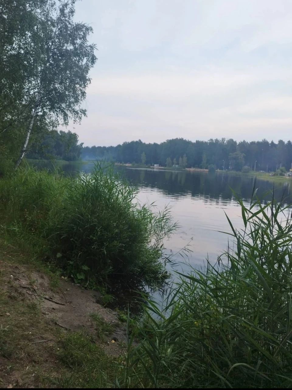 Спасатели ищут утонувшего подростка в озере Ключевое в Смоленске Фото: СКР по Смоленской области