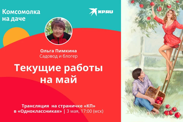 Дачные лекции «Комсомолки» в «Одноклассниках» посмотрели 3,3 миллиона зрителей!