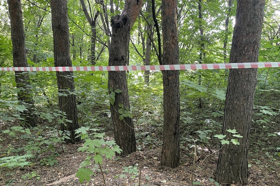 В Саратове 12-летний мальчик напал на сверстника с разбитой бутылкой