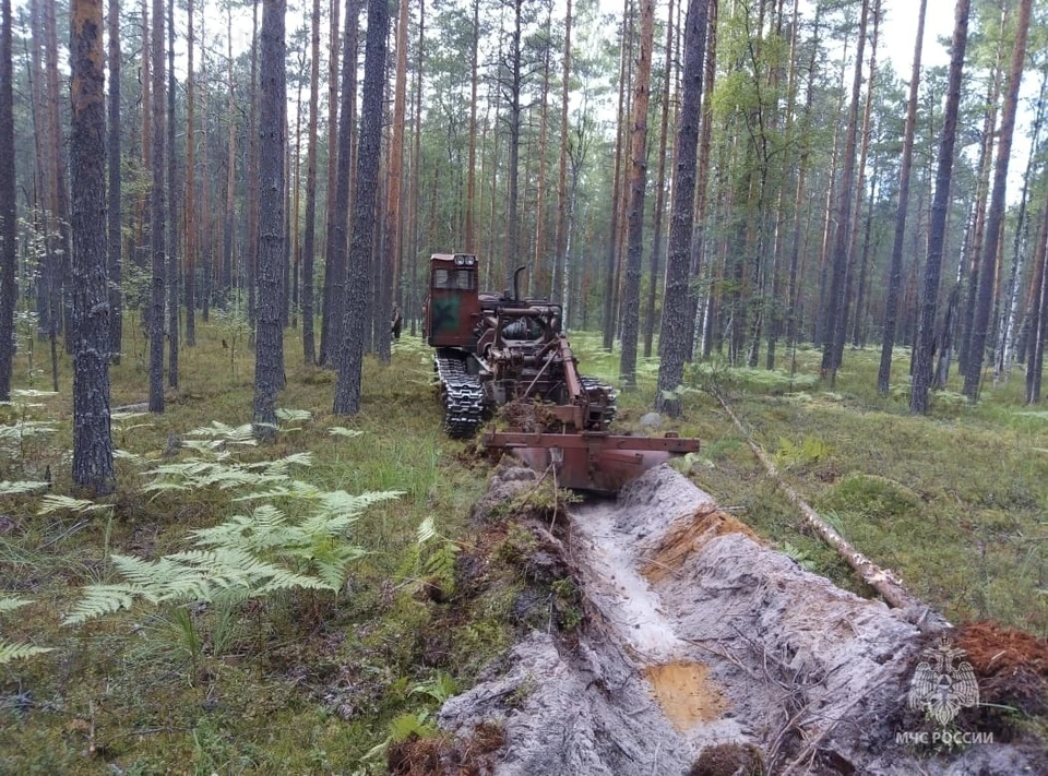 Фото: ГУ МЧС России по Костромской области