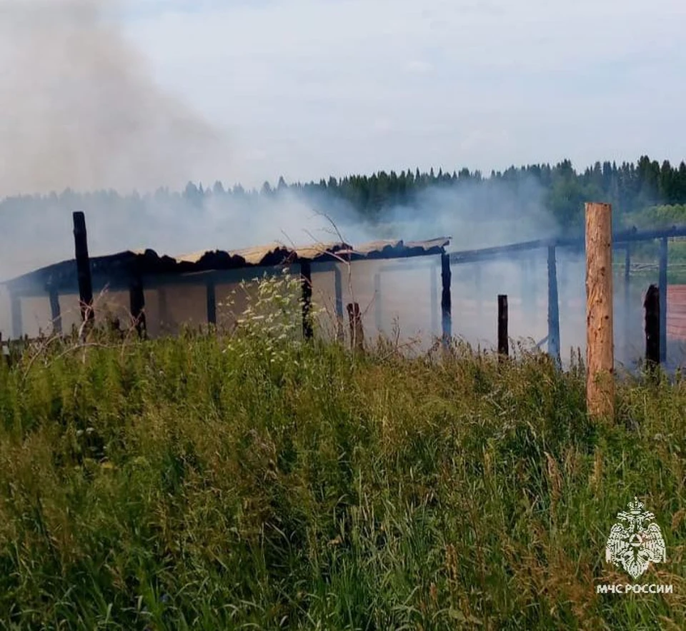 фото: телеграм-канал "МЧС Томской области"