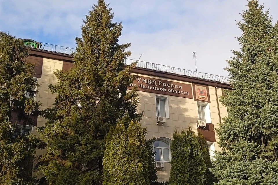 Уголовное дело завели на 21-летних парней, избивших дворника в Липецке