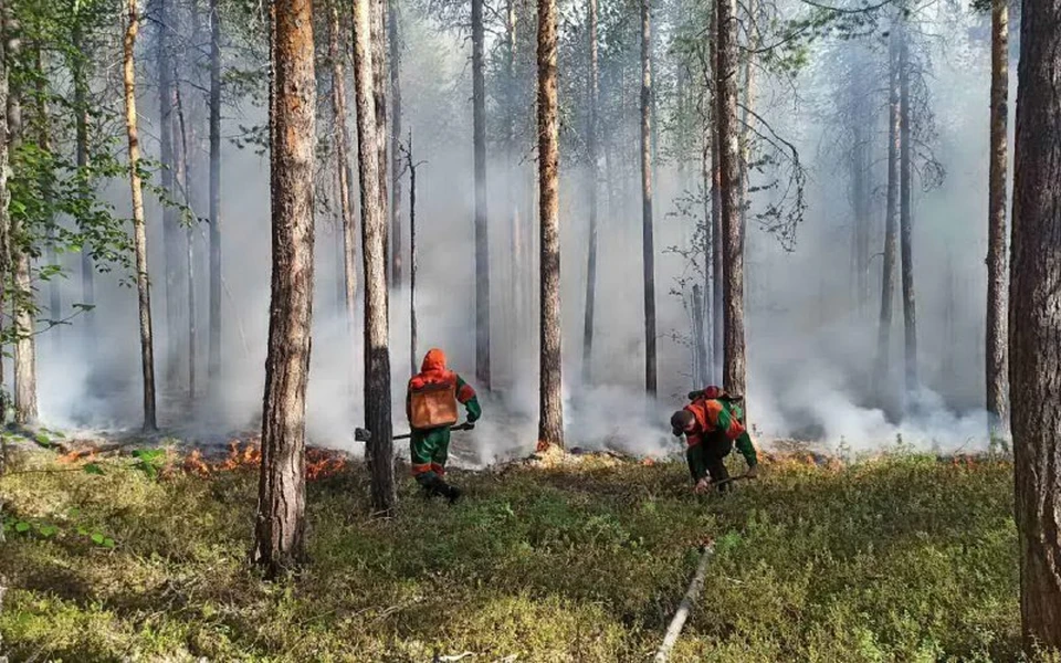 Фото: департамент гражданской защиты и пожарной безопасности ЯНАО