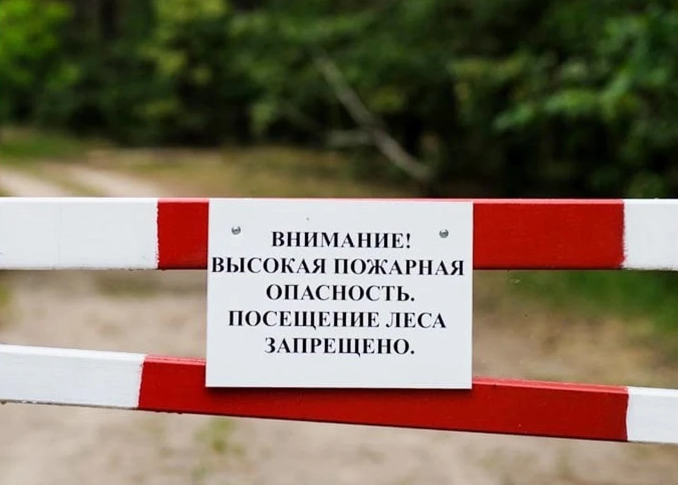 Ситуация нормализуется по мере снижения напряженности. Фото: spas.rk.gov.ru