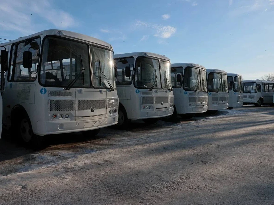 Автобусы