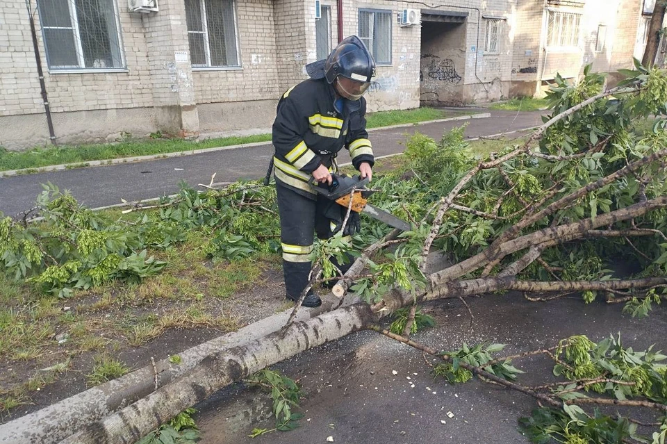 Город оказался завален упавшими деревьями. Фото: Администрация Уссурийска