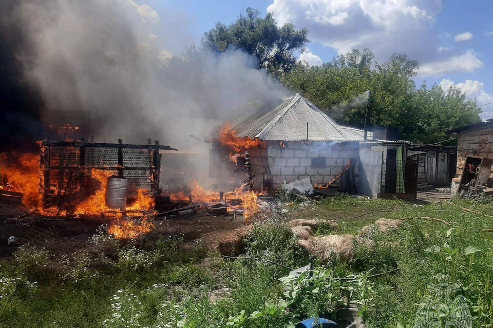 Пять баранов погибли в горящем сарае во время пожара под Липецком