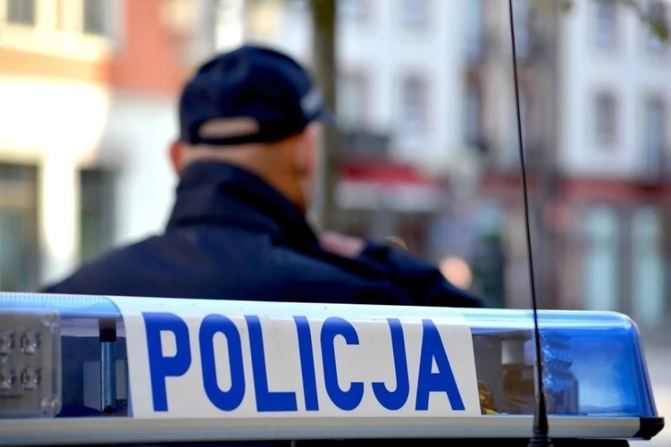 Раздели одноклассницу Раздели» одноклассницу при помощи ИИ: польские школьники могут попасть в  тюрьму за похабную шалость - KP.RU