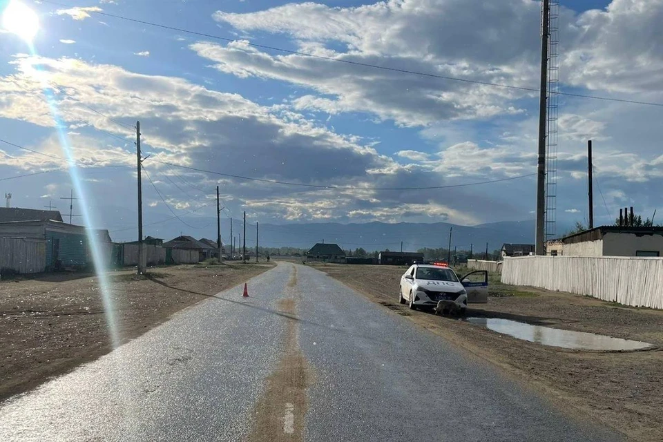 Фото: МВД по Республике Тыва