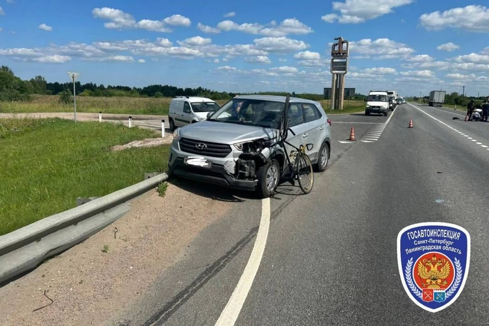 В Ленобласти велосипедист влетел в иномарку из-за выбежавшей на трассу собаки. Фото: t.me/ugibdd78