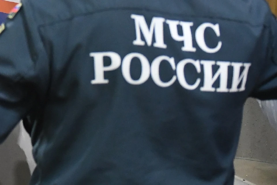 Более 200 раз жители Новосибирской области обратились к спасателям за неделю.