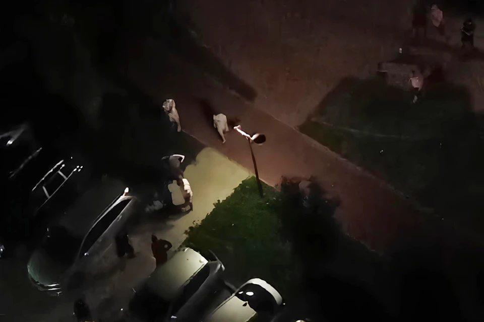 Знакомая одного пострадавших рассказала свою версию событий. Фото: Кадр из видео, предоставленного очевидцами