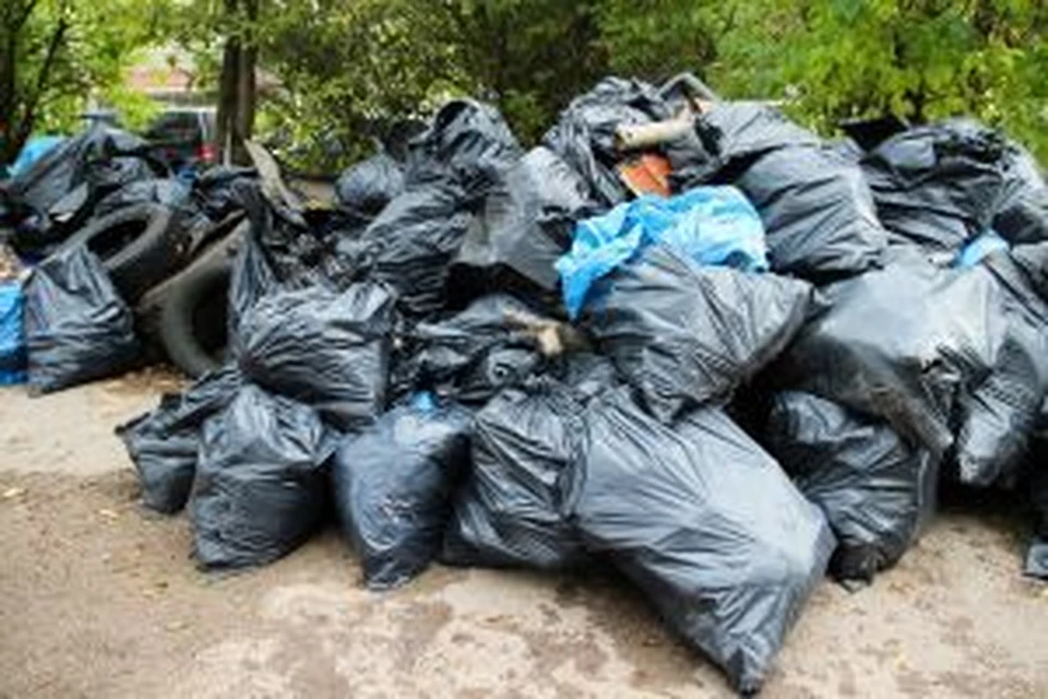 ситуация с мусором в лесах и около водоемов с каждым годом становится все хуже