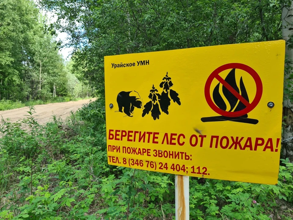 За неделю, с 22 по 29 июля, в Югре потушили 8 лесных пожаров на площади 128,37 гектаров