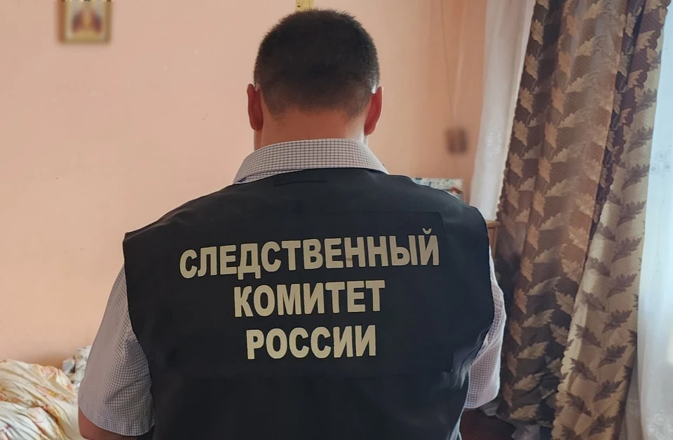 Мужчина избил ее руками и ногами по различным частям тела, в том числе по голове.