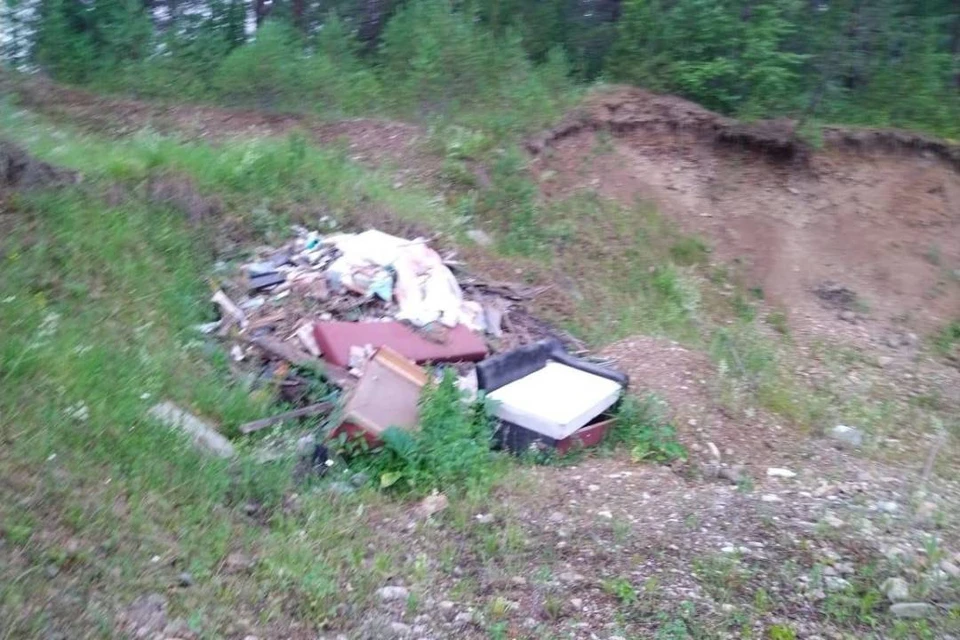 Несанкционированную свалку мусора разобрали в Иркутской области. Фото:телеграмм-канал Байкальской межрегиональной природоохранной прокуратуры