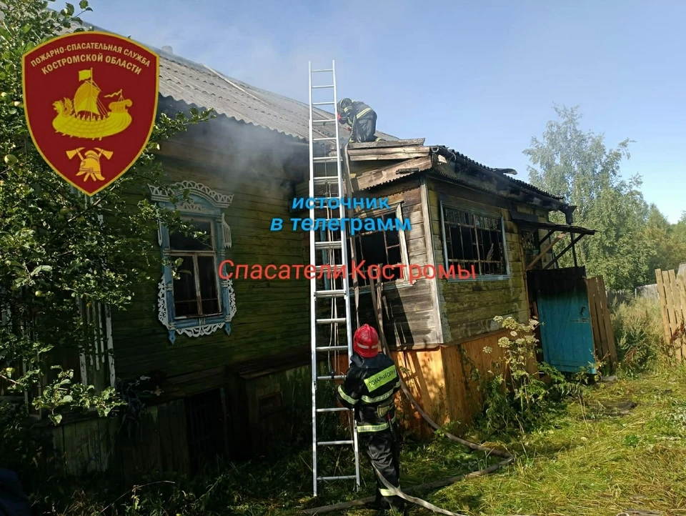 Фото: ОГБУ "ПСС"