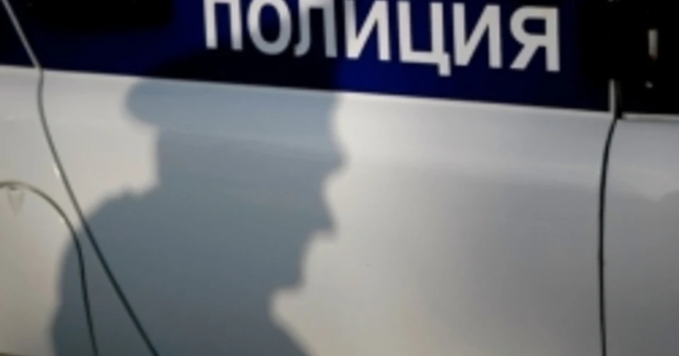 В Воронежской области за первые шесть месяцев 2024 года полицейские разыскали по «горячим следам» 1511 людей.
